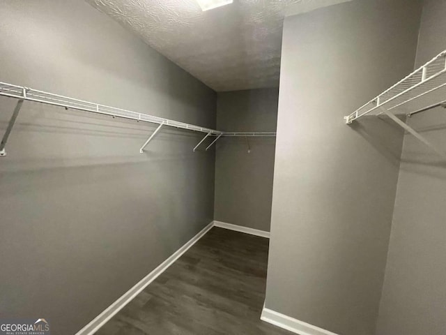 walk in closet featuring dark hardwood / wood-style floors