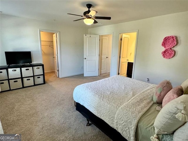 carpeted bedroom featuring a walk in closet, a closet, and ceiling fan