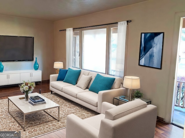 living room featuring hardwood / wood-style flooring and plenty of natural light