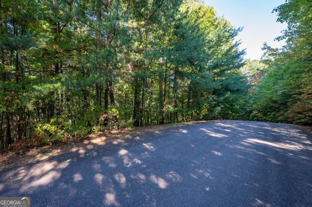 Listing photo 2 for LOT18 Dover Highlands Trl Unit 18, Ellijay GA 30540