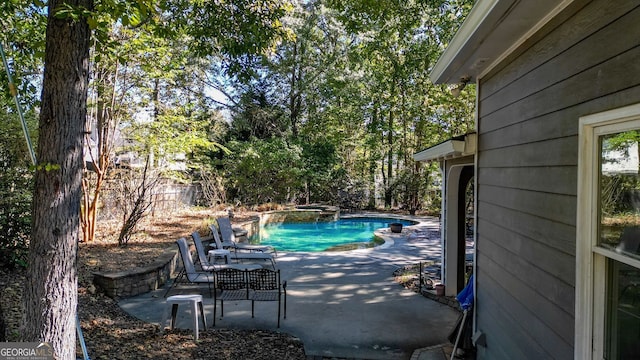 view of pool with a patio