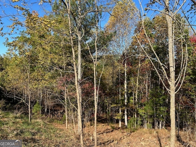 Listing photo 2 for 0 Marshall Rise Lot 379, Blairsville GA 30512