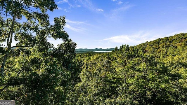 view of mountain feature