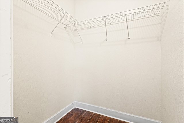 walk in closet with dark hardwood / wood-style floors