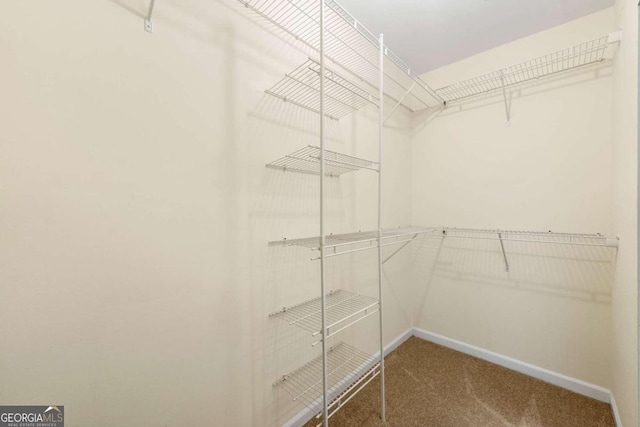 spacious closet featuring carpet