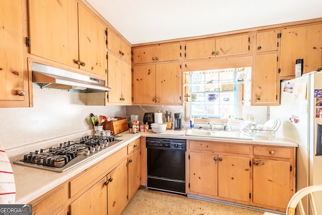 kitchen with stainless steel gas cooktop, black dishwasher, sink, and white refrigerator