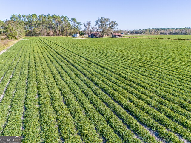 view of yard featuring a rural view