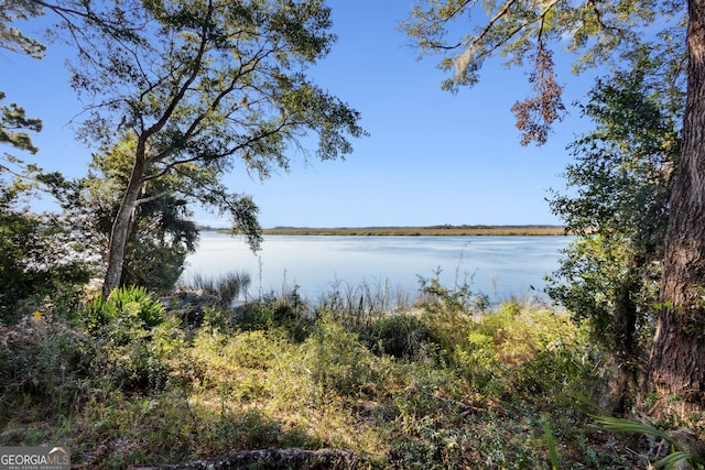 property view of water