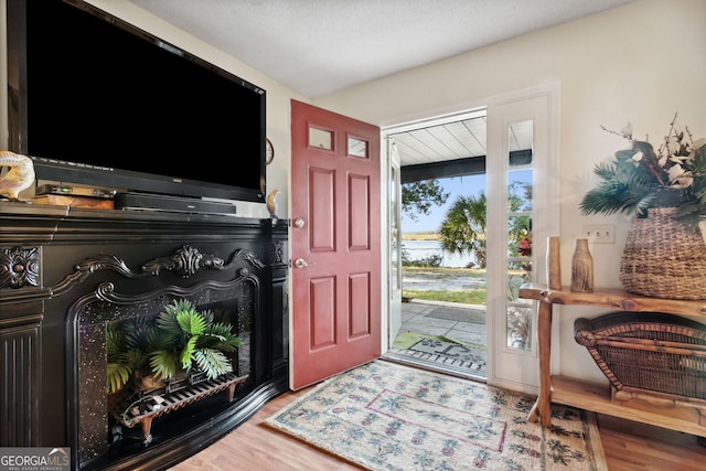 foyer entrance with hardwood / wood-style flooring