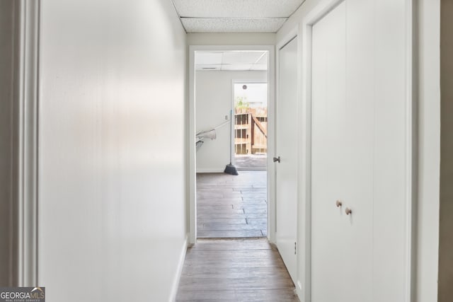 corridor with a drop ceiling and hardwood / wood-style flooring