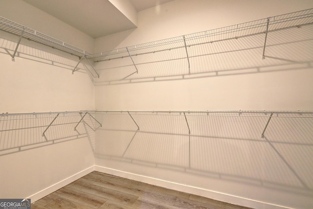 walk in closet featuring wood finished floors