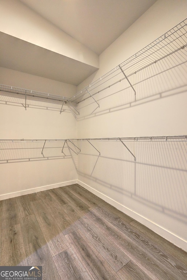 walk in closet with dark wood-style flooring