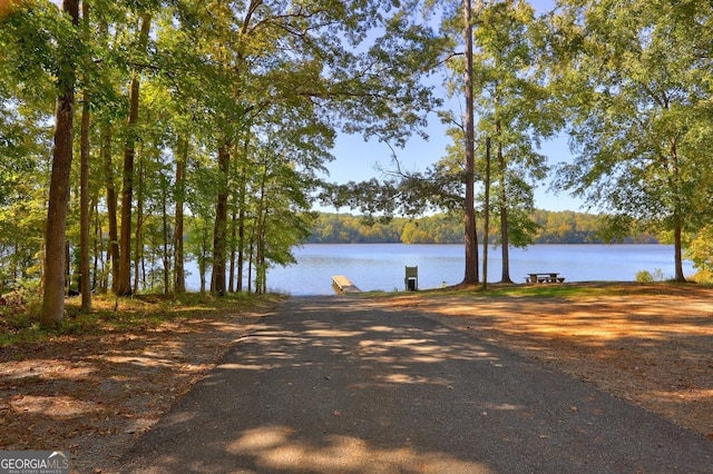 water view featuring a boat dock