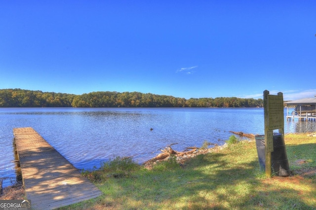 dock area with a water view