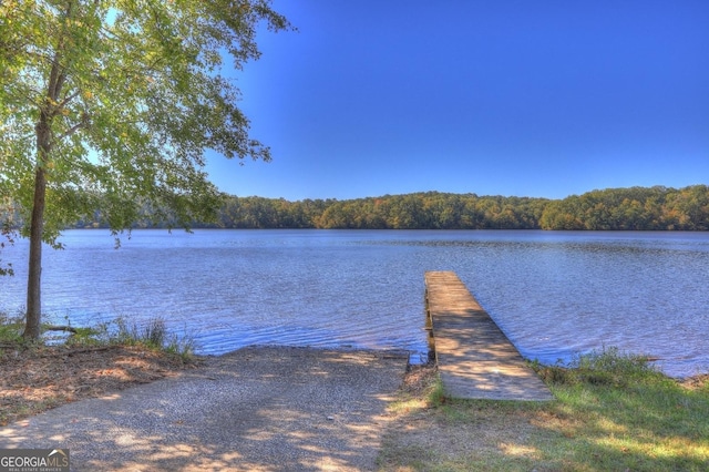 dock area featuring a water view and a forest view