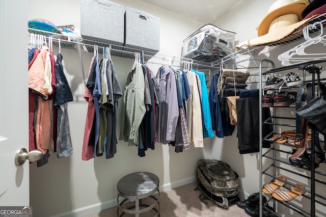 walk in closet featuring carpet flooring