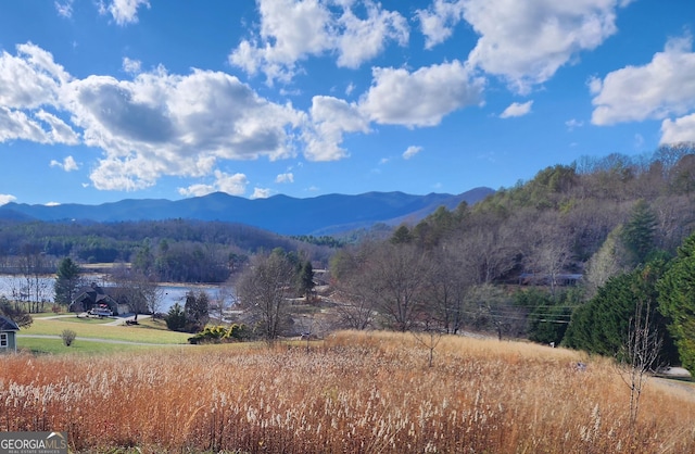 mountain view featuring a rural view