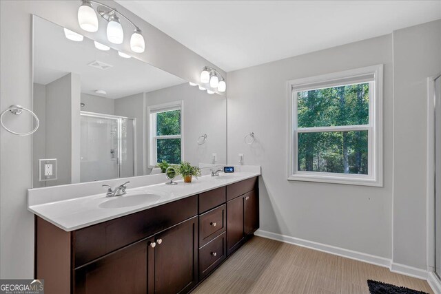 bathroom with vanity, plenty of natural light, and an enclosed shower