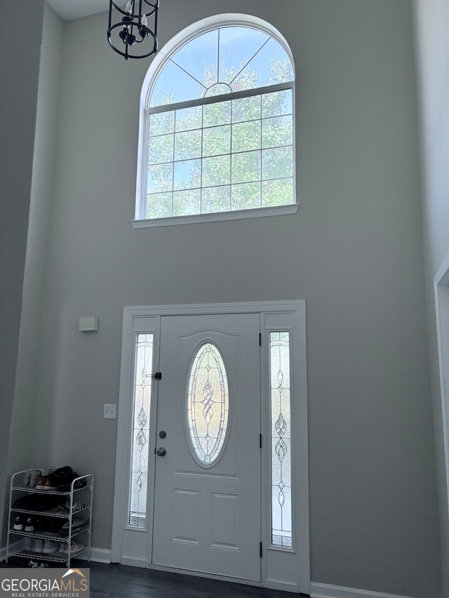 foyer with dark hardwood / wood-style flooring and a wealth of natural light