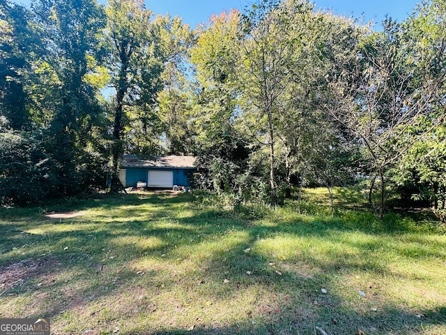 view of yard featuring a storage unit