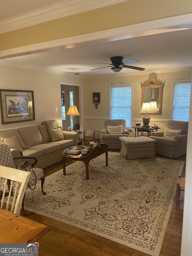 living room with ceiling fan, ornamental molding, and dark hardwood / wood-style flooring