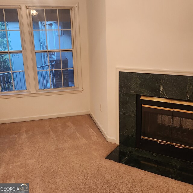 details with carpet and a fireplace