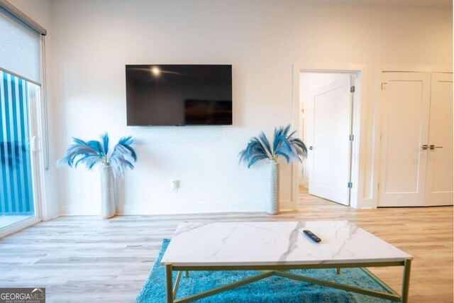 living room featuring light wood-type flooring