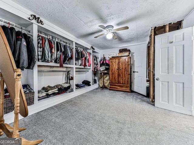 walk in closet featuring carpet flooring and ceiling fan