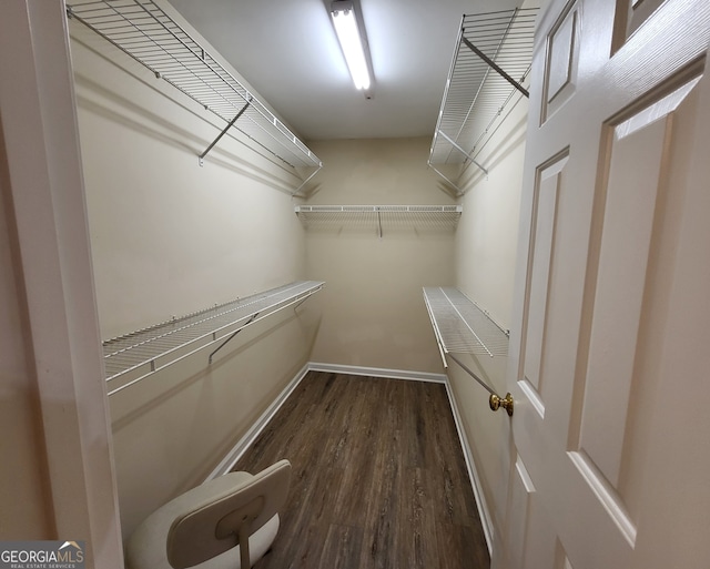 spacious closet with dark hardwood / wood-style floors