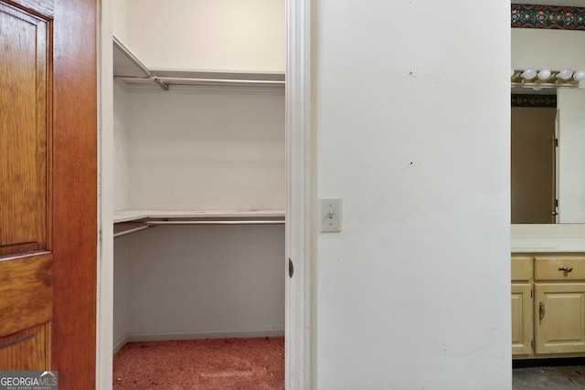 spacious closet featuring carpet flooring