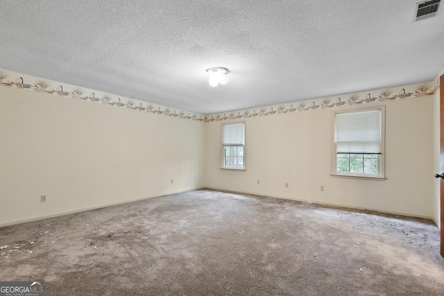 unfurnished room with carpet and a textured ceiling