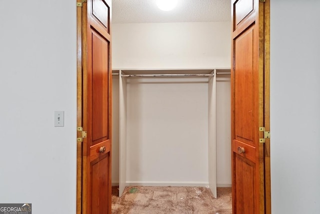 walk in closet with light colored carpet