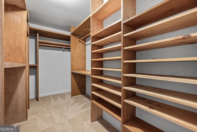 spacious closet with light carpet