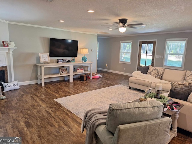 living room with dark wood-type flooring, a fireplace, and crown molding