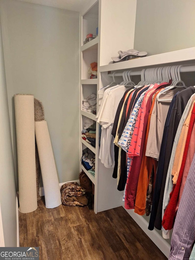 spacious closet featuring hardwood / wood-style flooring