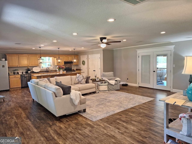 living room featuring sink, crown molding, dark hardwood / wood-style floors, and a textured ceiling