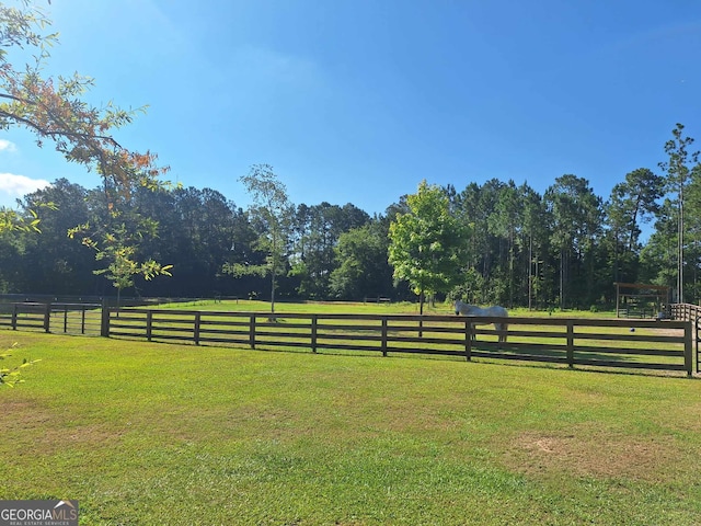 view of yard with a rural view