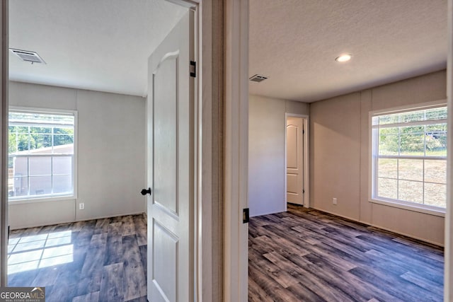 corridor with dark hardwood / wood-style flooring, a textured ceiling, and a wealth of natural light