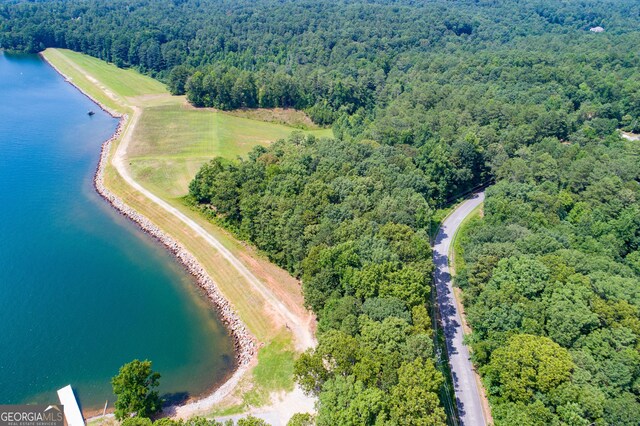 property view of water with a boat dock