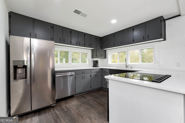 kitchen featuring sink, stainless steel appliances, dark hardwood / wood-style flooring, and gray cabinets