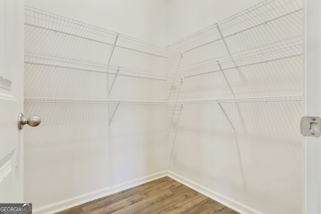 spacious closet featuring hardwood / wood-style floors