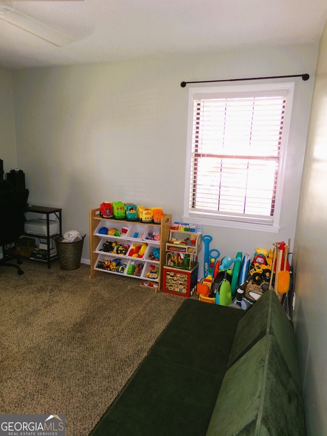 rec room featuring carpet