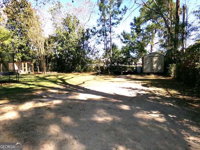 view of yard with a storage unit