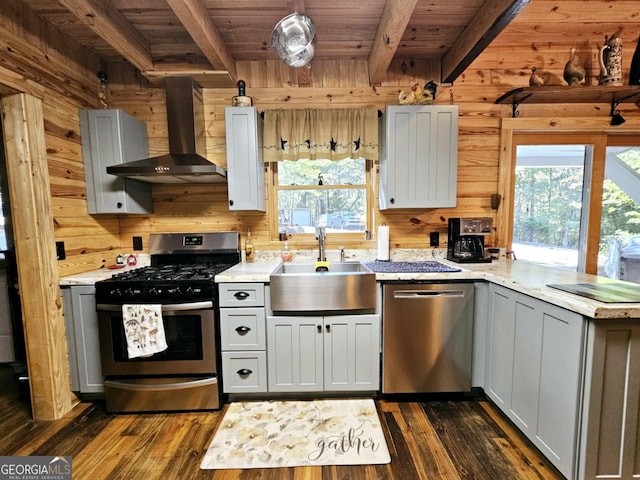 kitchen featuring plenty of natural light, wall chimney range hood, sink, and stainless steel appliances