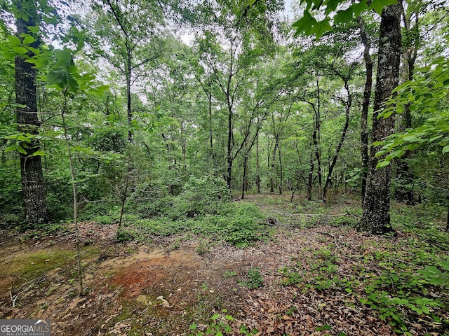 4153 Glenn Rd, Franklin, GA 30217 - view of wooded area