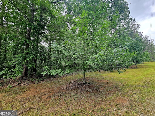 4153 Glenn Rd, Franklin, GA 30217 - view of undeveloped land