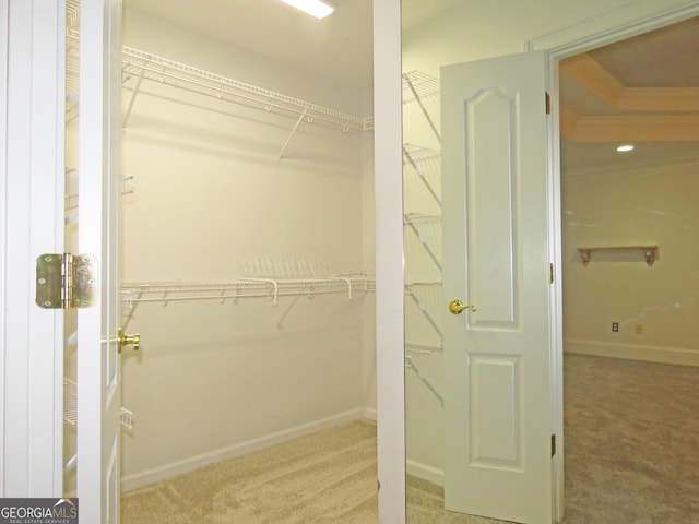 spacious closet with carpet floors