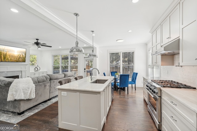 kitchen with dark wood-type flooring, an island with sink, white cabinetry, and high end stainless steel range oven