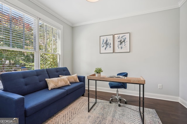 office area featuring wood-type flooring and ornamental molding