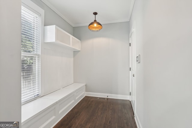 mudroom featuring crown molding and dark hardwood / wood-style flooring